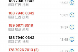 大观工资清欠服务