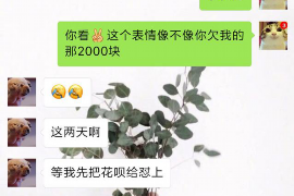 大观贷款清欠服务